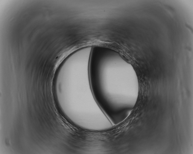 X0000097510244200802220911