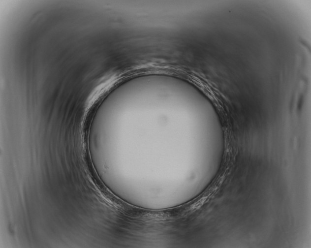 X0000097510245200802220911