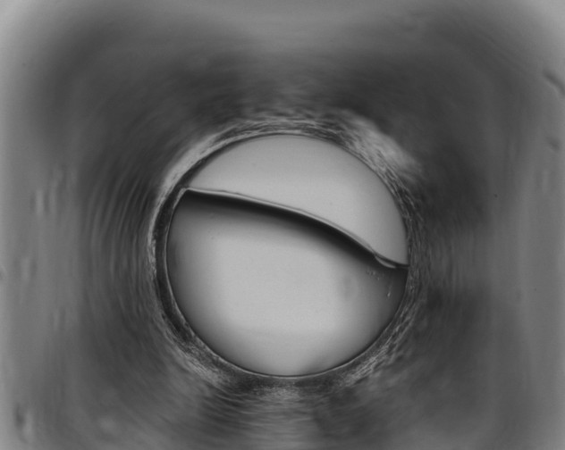 X0000097510246200802220911