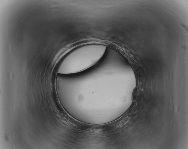 X0000097510247200802220911