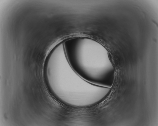 X0000097510248200802220912