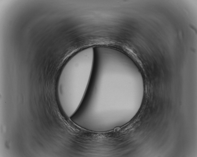 X0000097510249200802220912