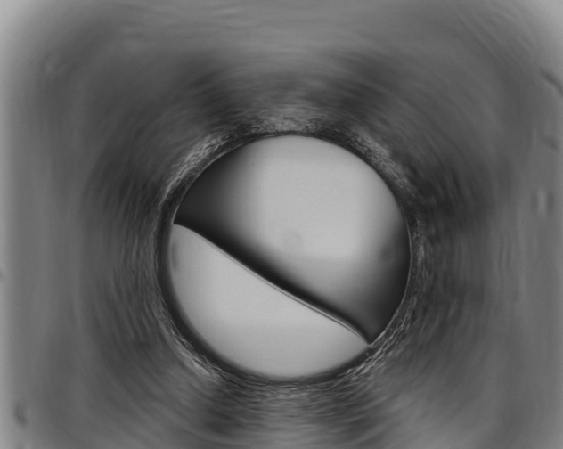 X0000097510250200802220912