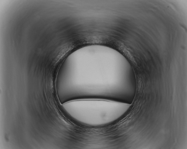 X0000097510251200802220912