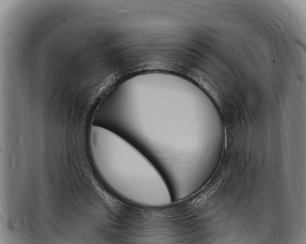 X0000097510253200802220912
