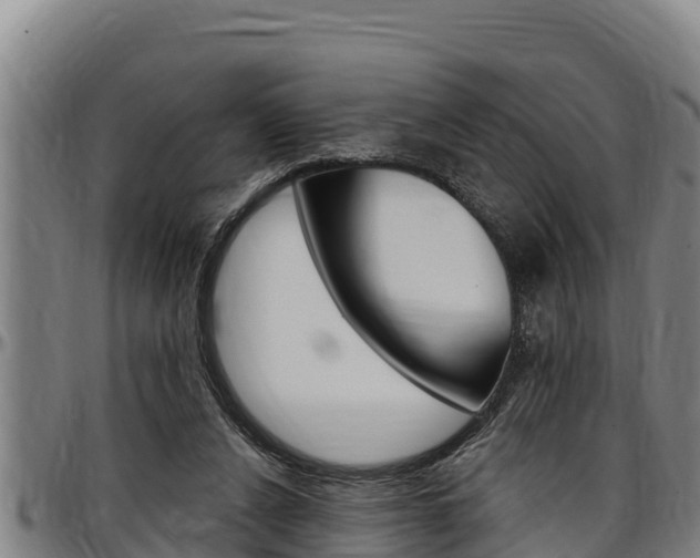 X0000097510256200802220912