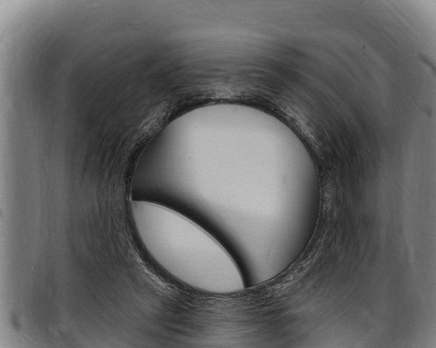 X0000097510257200802220912