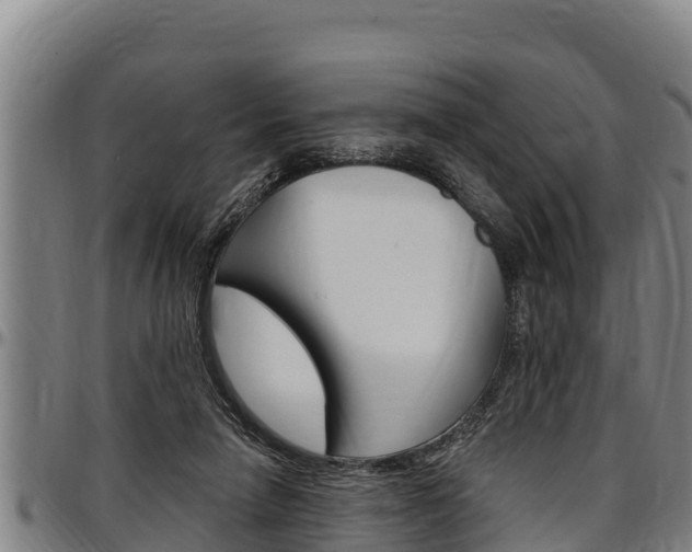 X0000097510258200802220912