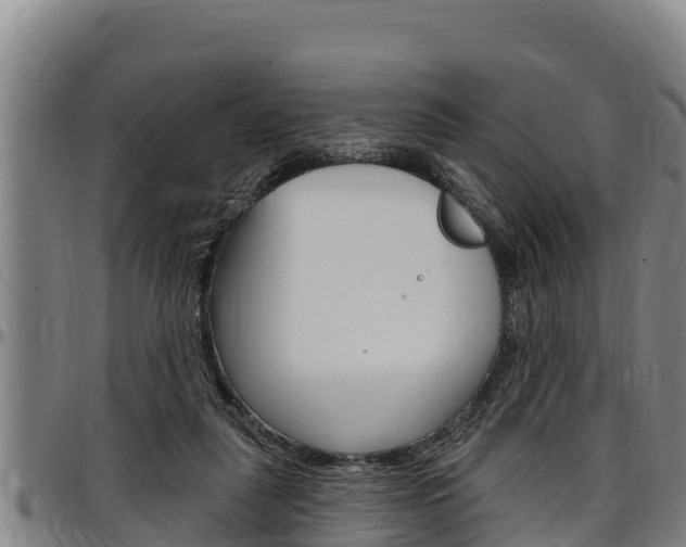 X0000097510259200802220912