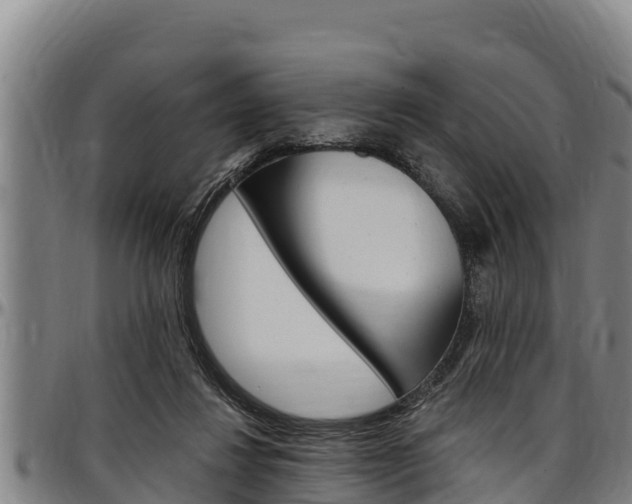 X0000097510260200802220912