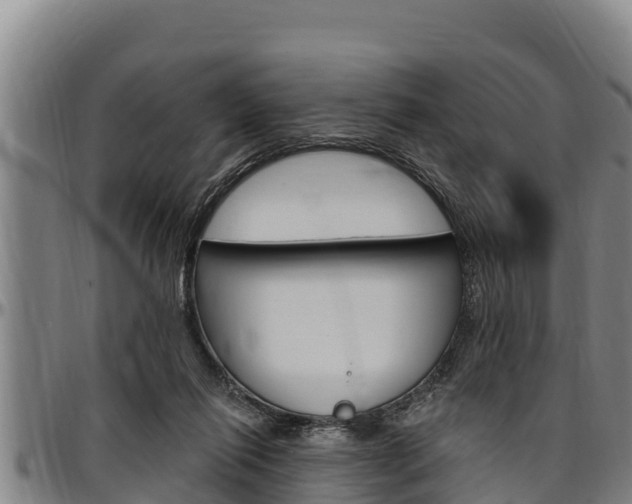 X0000097510262200802220912