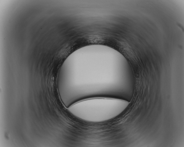 X0000097510263200802220912