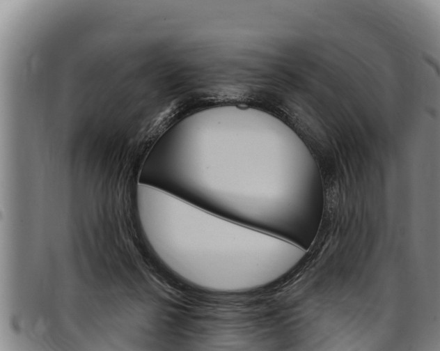 X0000097510264200802220912