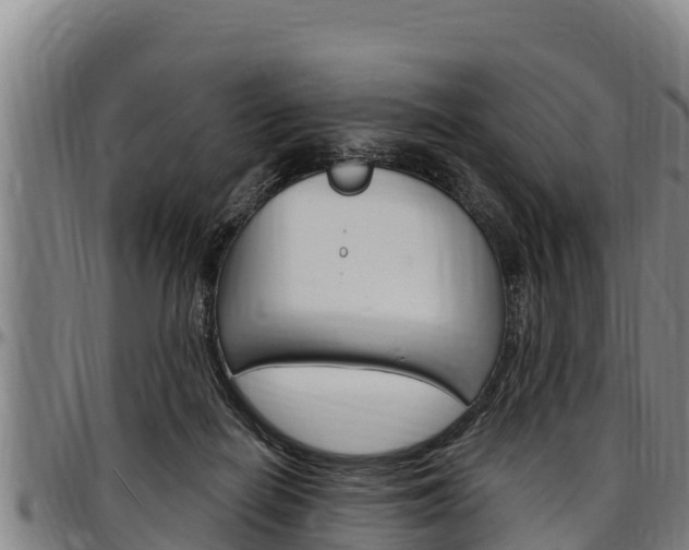 X0000097510266200802220912