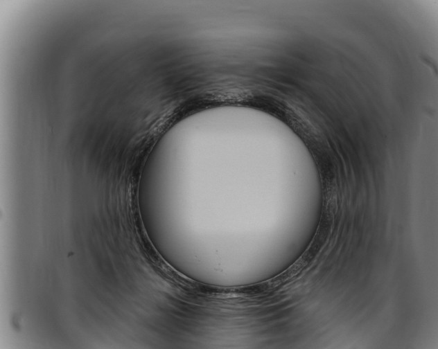 X0000097510268200802220912