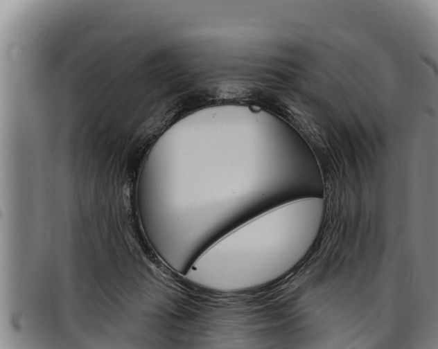 X0000097510269200802220912