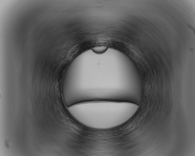 X0000097510270200802220912