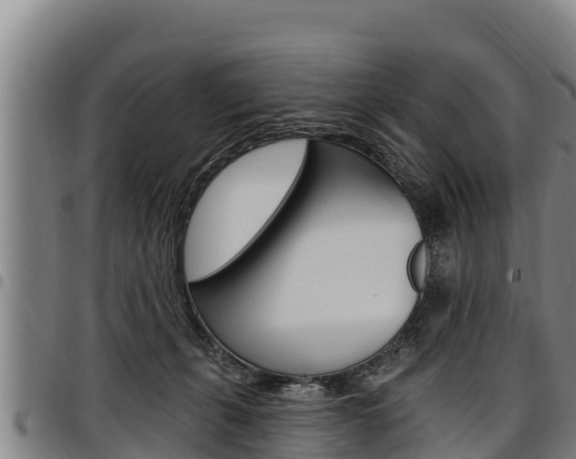 X0000097510271200802220912