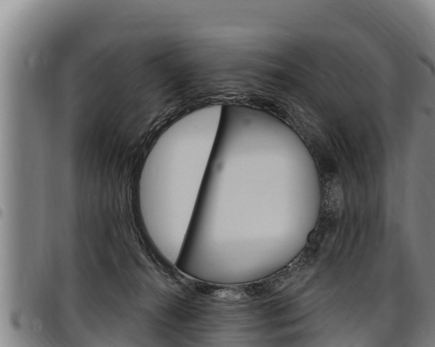 X0000097510272200802220912