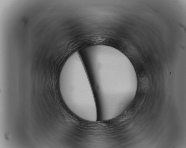 X0000097510274200802220912