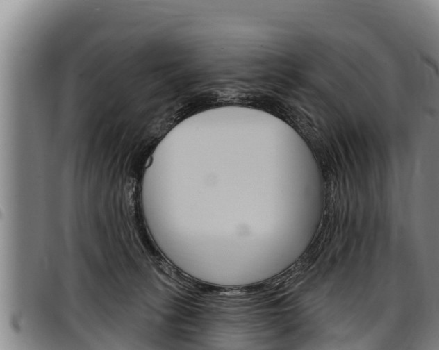 X0000097510275200802220912