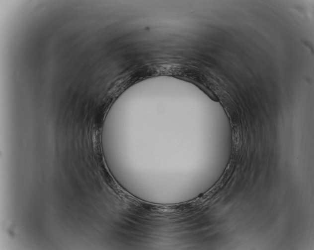 X0000097510276200802220912
