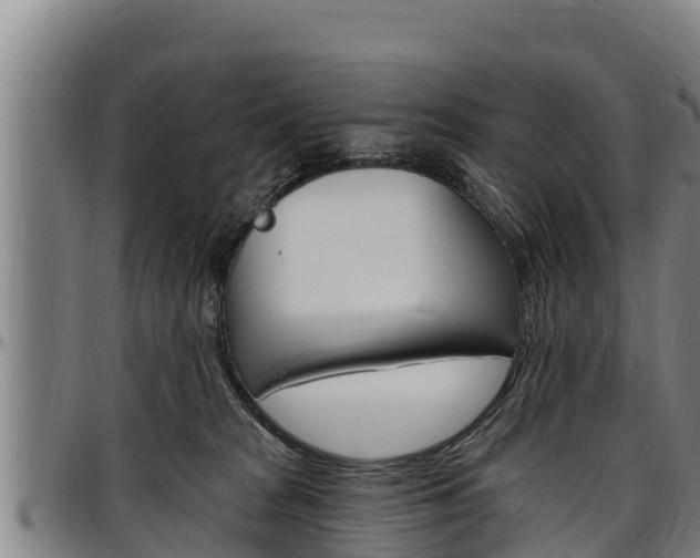 X0000097510277200802220912