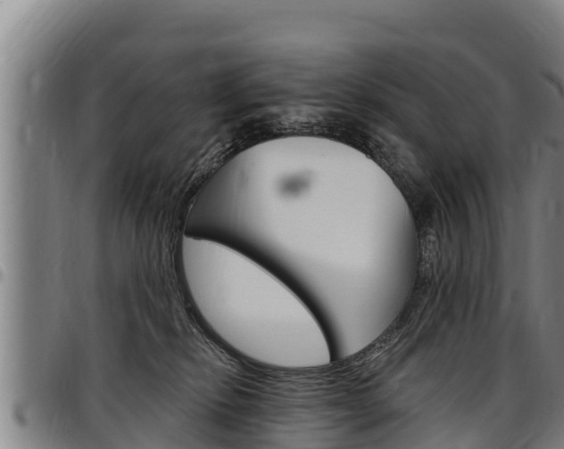 X0000097510278200802220912