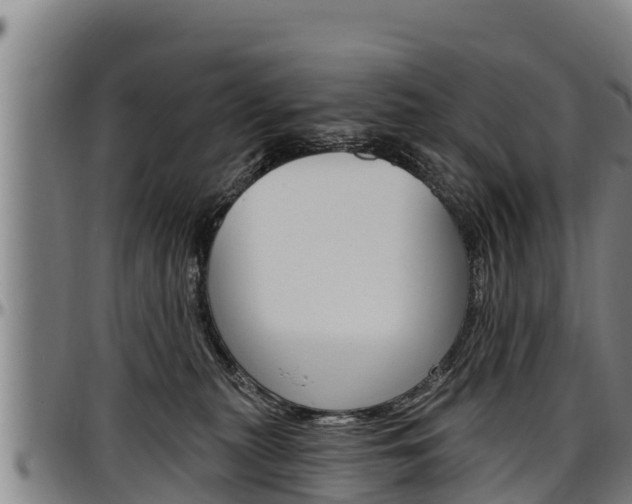 X0000097510279200802220912
