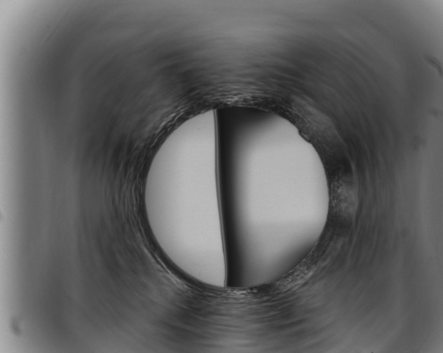 X0000097510280200802220912