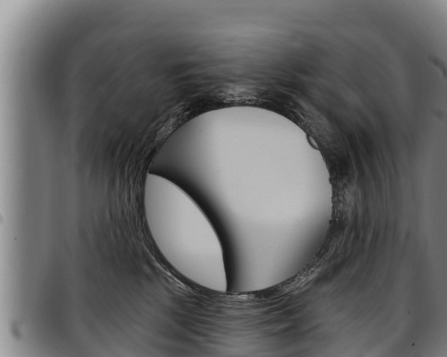 X0000097510281200802220912