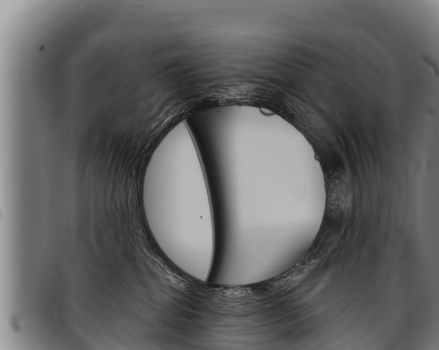 X0000097510282200802220912