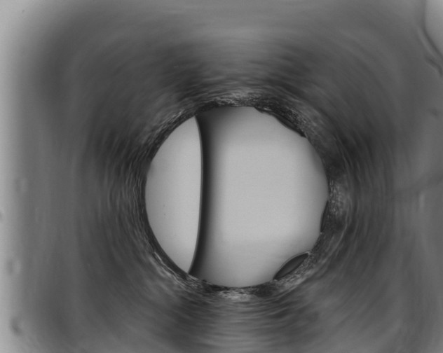 X0000097510284200802220912
