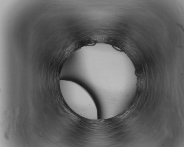 X0000097510285200802220912