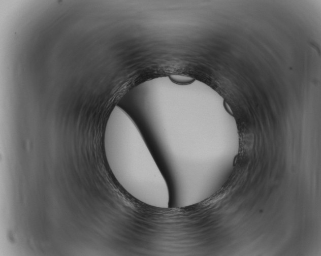 X0000097510286200802220912