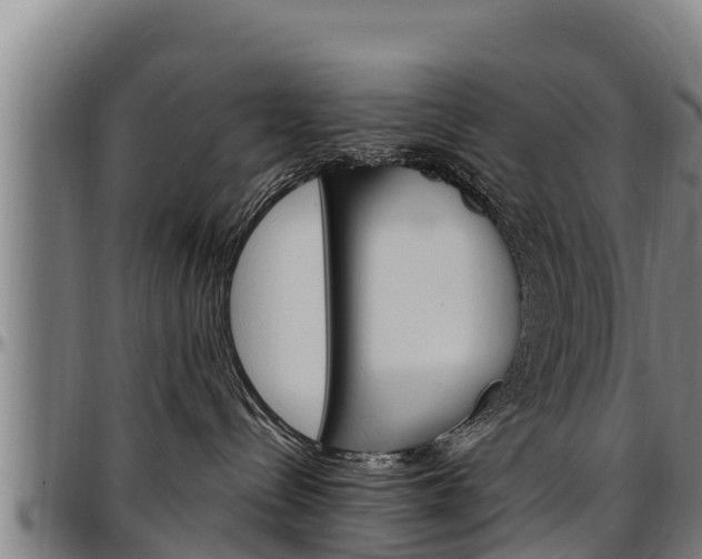 X0000097510288200802220912