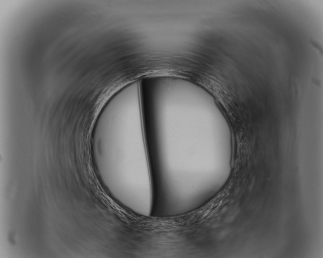 X0000097510289200802220911