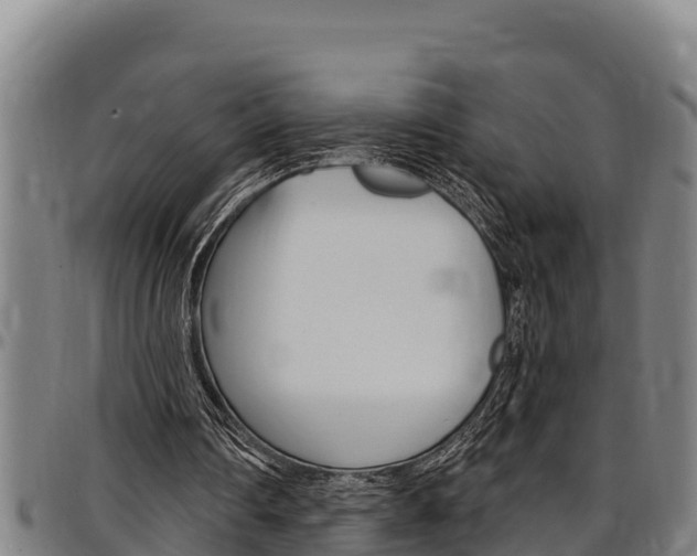 X0000097510290200802220911