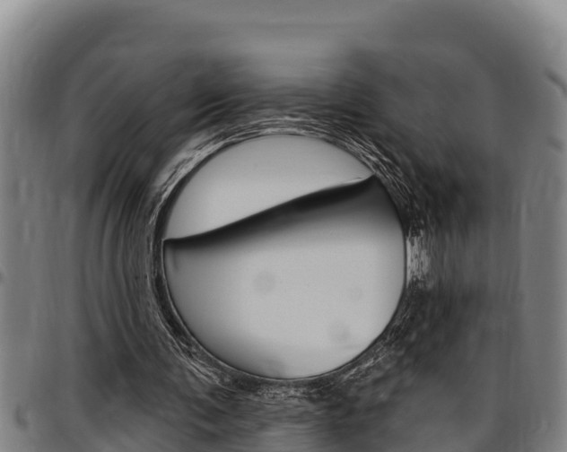 X0000097510291200802220911