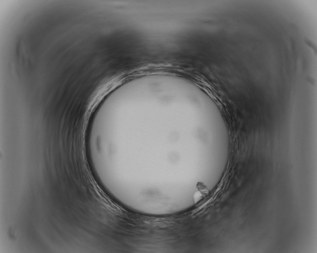 X0000097510293200802220911
