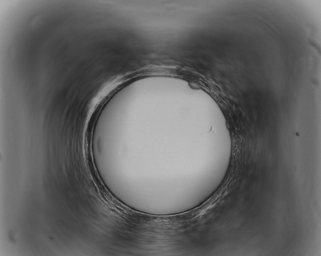 X0000097510294200802220911