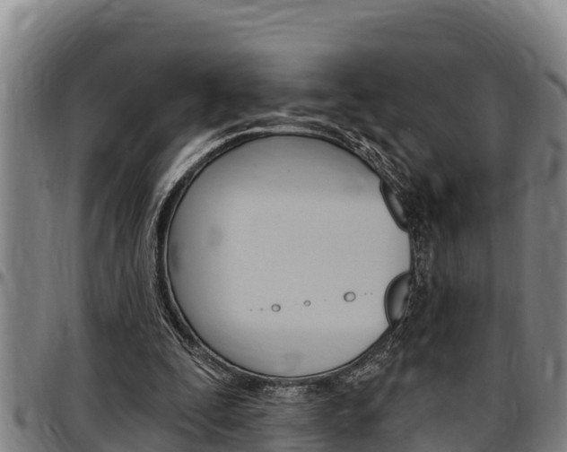 X0000097510295200802220911