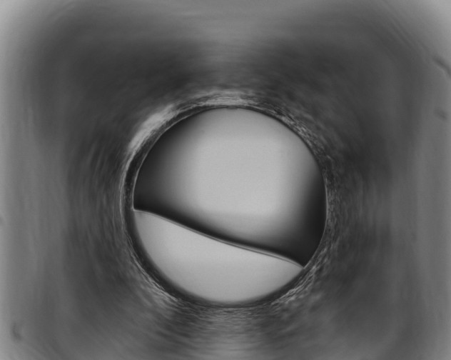 X0000097510296200802220911