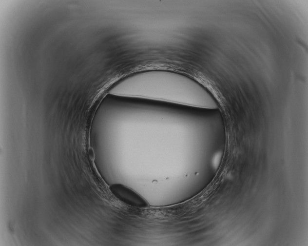 X0000097510297200802220911