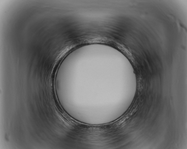X0000097510298200802220911