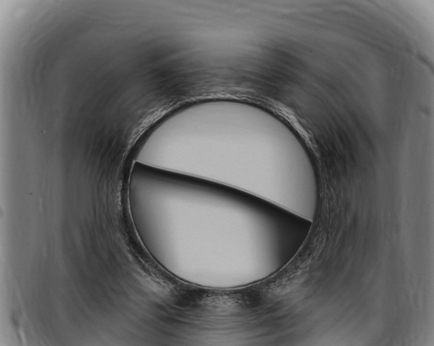 X0000097510299200802220911