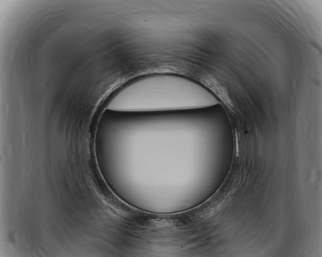 X0000097510300200802220911