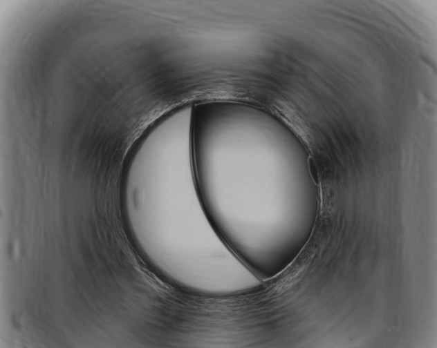 X0000097510301200802220911