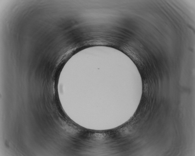 X0000097510302200802220911