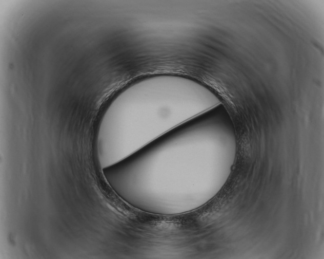 X0000097510303200802220911